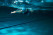 Natation_253555891