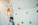 Tope Rope_748593274