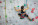Cours_Enfants_10ans